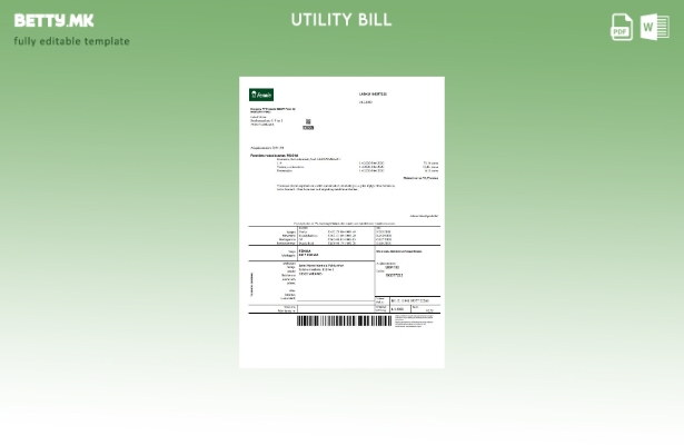 модерен стил Шаблон за збор за сметка за осигурителна компанија Финска Fennia